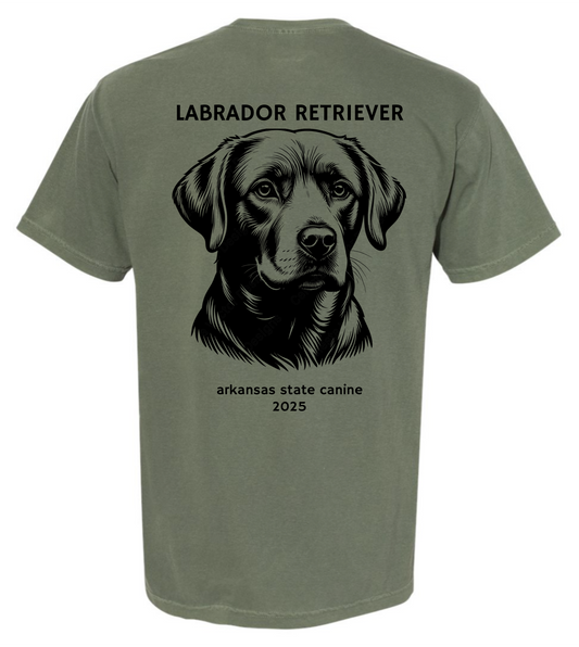 Arkansas Line | State Canine Tee