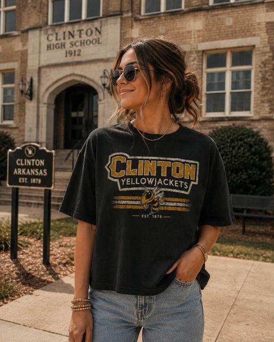 Clinton Vintage 1879